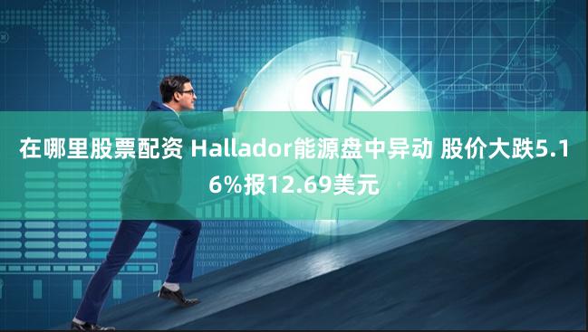 在哪里股票配资 Hallador能源盘中异动 股价大跌5.16%报12.69美元